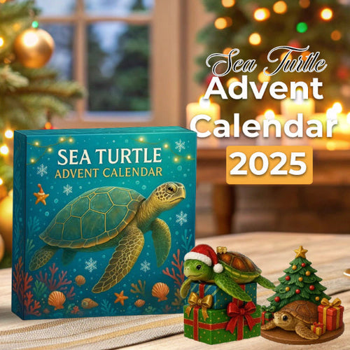 🌊🐢 Sea Turtle Advent Calendar 2025